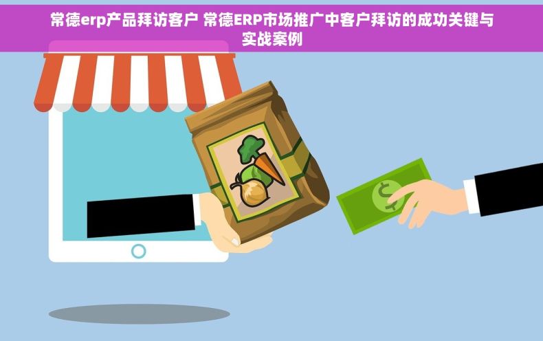 常德erp产品拜访客户 常德ERP市场推广中客户拜访的成功关键与实战案例