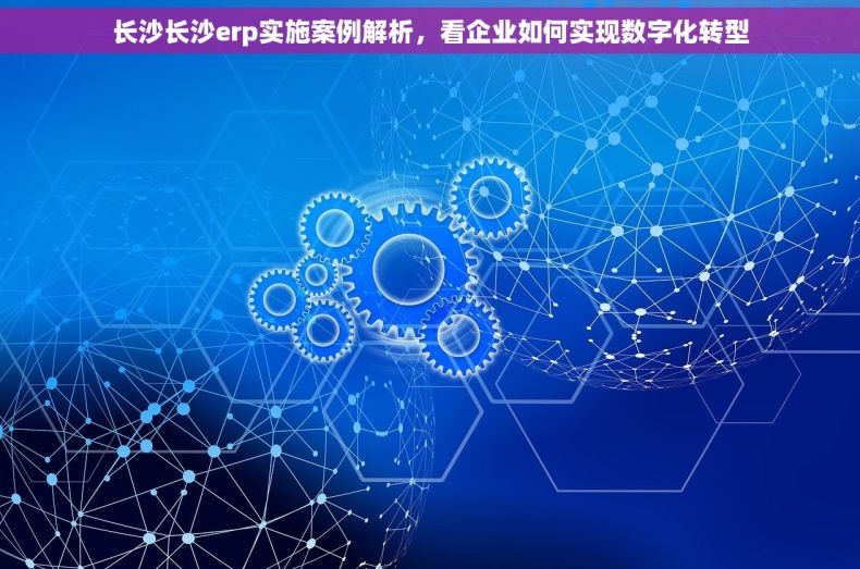 长沙长沙erp实施案例解析，看企业如何实现数字化转型