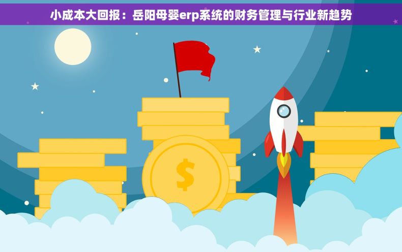 小成本大回报：岳阳母婴erp系统的财务管理与行业新趋势