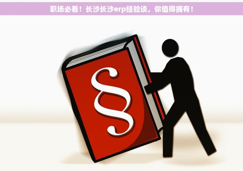 职场必看！长沙长沙erp经验谈，你值得拥有！