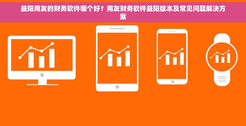 益阳用友的财务软件哪个好？用友财务软件益阳版本及常见问题解决方案