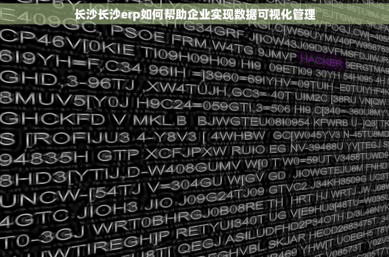 长沙长沙erp如何帮助企业实现数据可视化管理
