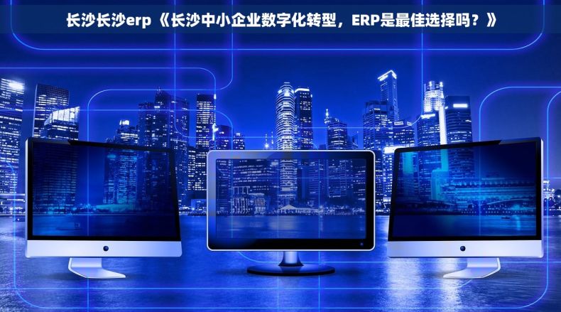 长沙长沙erp 《长沙中小企业数字化转型，ERP是最佳选择吗？》