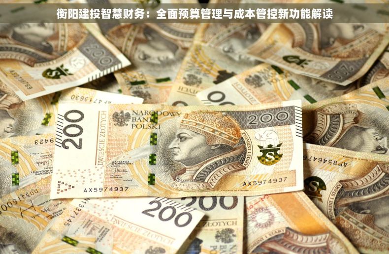 衡阳建投智慧财务：全面预算管理与成本管控新功能解读