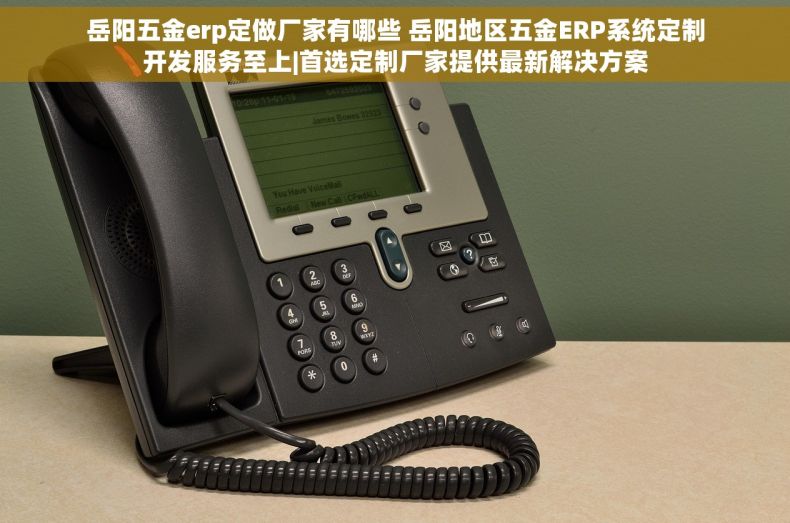 岳阳五金erp定做厂家有哪些 岳阳地区五金ERP系统定制开发服务至上|首选定制厂家提供最新解决方案