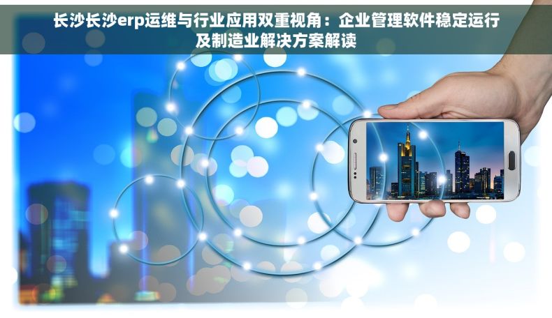长沙长沙erp运维与行业应用双重视角：企业管理软件稳定运行及制造业解决方案解读