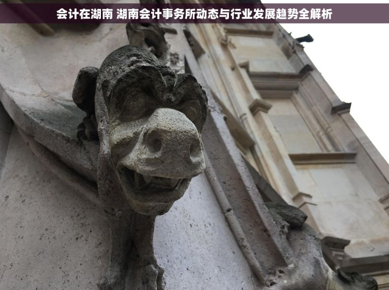 会计在湖南 湖南会计事务所动态与行业发展趋势全解析