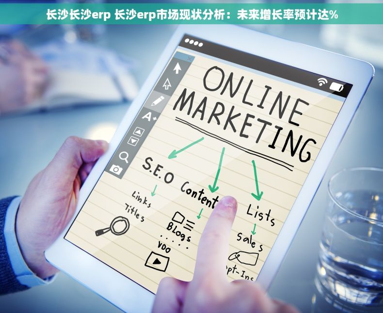 长沙长沙erp 长沙erp市场现状分析：未来增长率预计达%