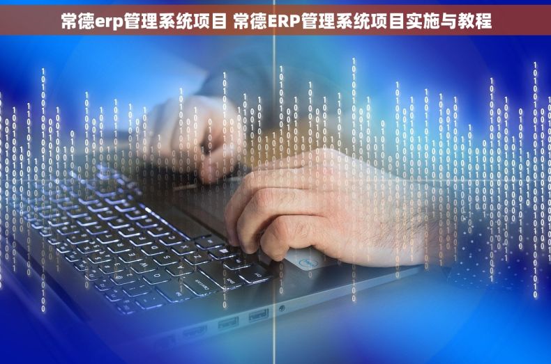 常德erp管理系统项目 常德ERP管理系统项目实施与教程