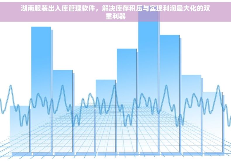 湖南服装出入库管理软件，解决库存积压与实现利润最大化的双重利器