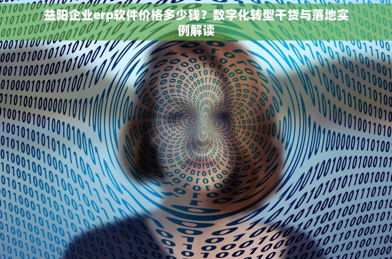 益阳企业erp软件价格多少钱？数字化转型干货与落地实例解读