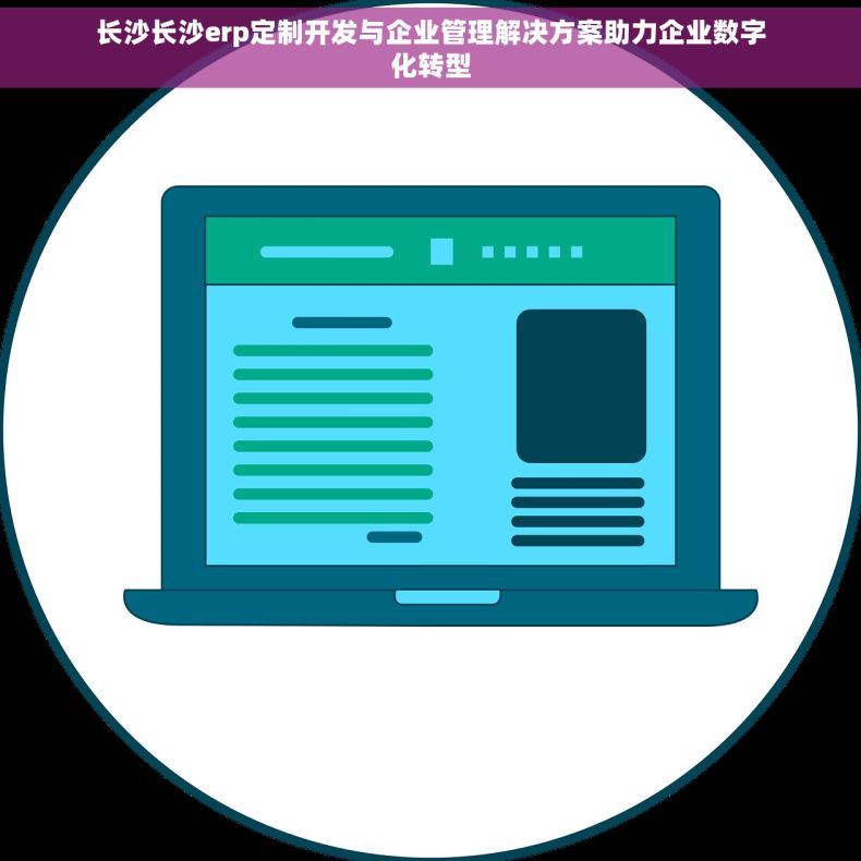 长沙长沙erp定制开发与企业管理解决方案助力企业数字化转型