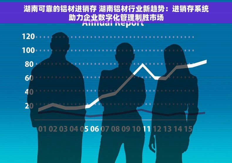 湖南可靠的铝材进销存 湖南铝材行业新趋势：进销存系统助力企业数字化管理制胜市场