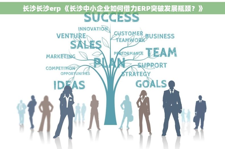 长沙长沙erp 《长沙中小企业如何借力ERP突破发展瓶颈？》