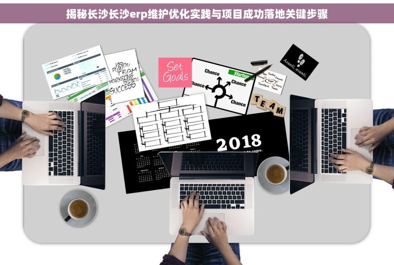 揭秘长沙长沙erp维护优化实践与项目成功落地关键步骤