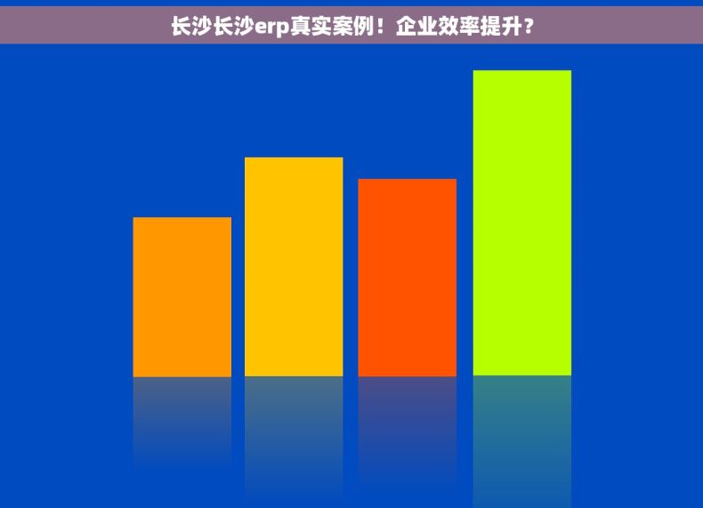长沙长沙erp真实案例！企业效率提升？