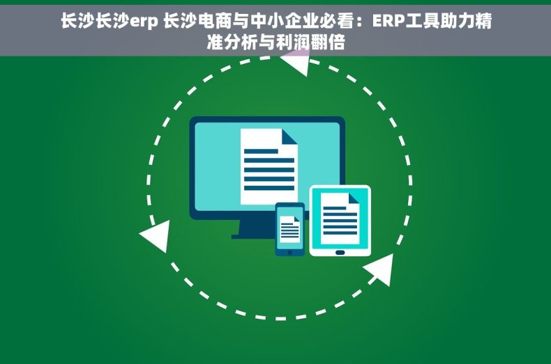 长沙长沙erp 长沙电商与中小企业必看：ERP工具助力精准分析与利润翻倍