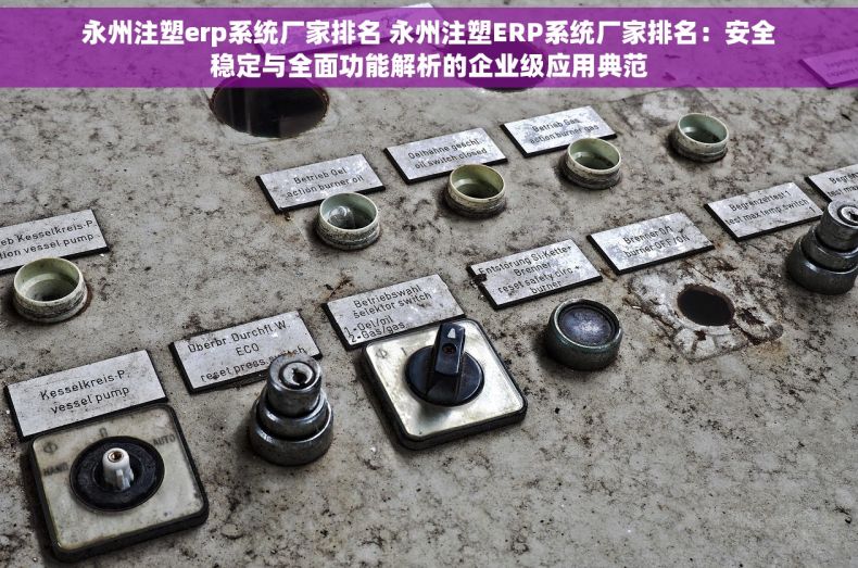 永州注塑erp系统厂家排名 永州注塑ERP系统厂家排名：安全稳定与全面功能解析的企业级应用典范