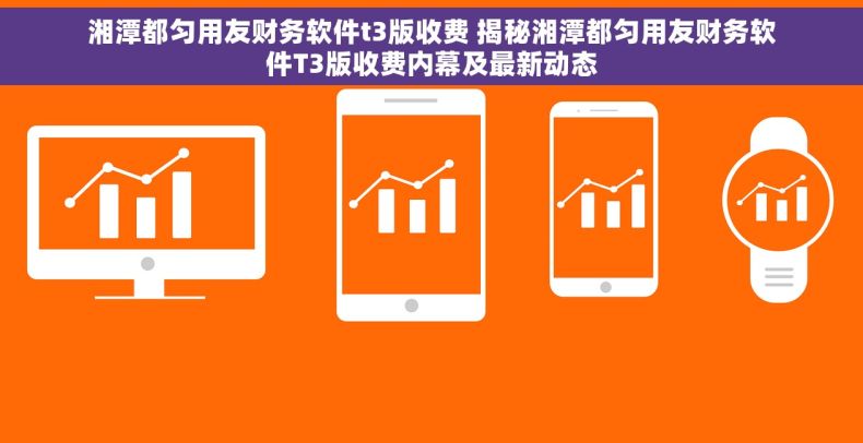 湘潭都匀用友财务软件t3版收费 揭秘湘潭都匀用友财务软件T3版收费内幕及最新动态