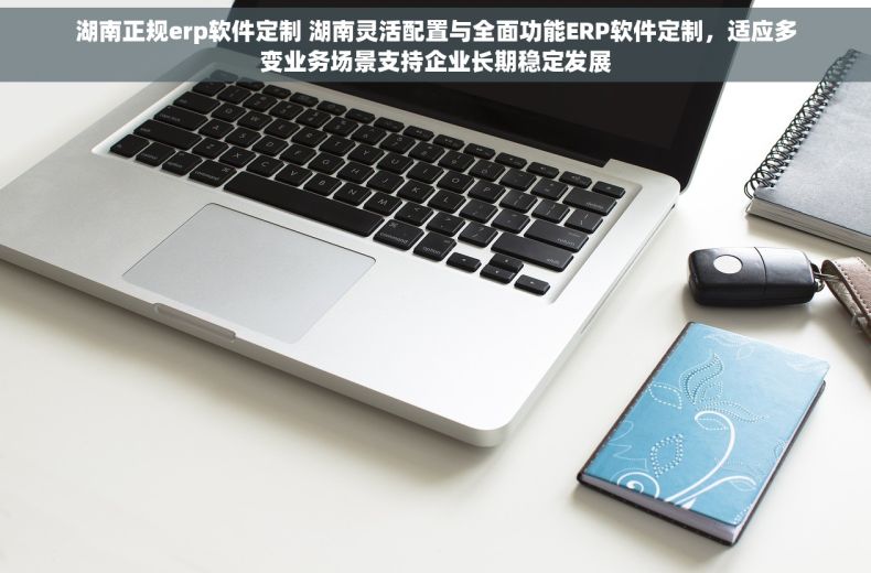 湖南正规erp软件定制 湖南灵活配置与全面功能ERP软件定制，适应多变业务场景支持企业长期稳定发展