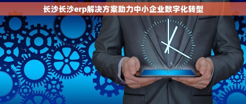 长沙长沙erp解决方案助力中小企业数字化转型