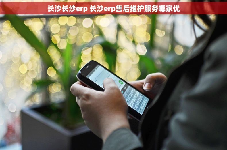 长沙长沙erp 长沙erp售后维护服务哪家优