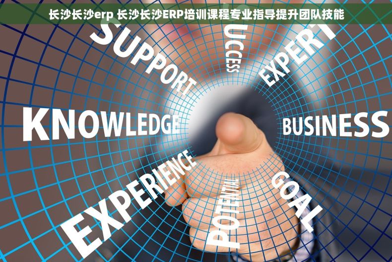 长沙长沙erp 长沙长沙ERP培训课程专业指导提升团队技能
