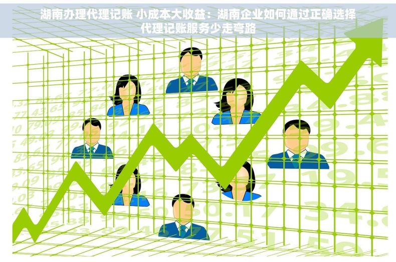 湖南办理代理记账 小成本大收益：湖南企业如何通过正确选择代理记账服务少走弯路