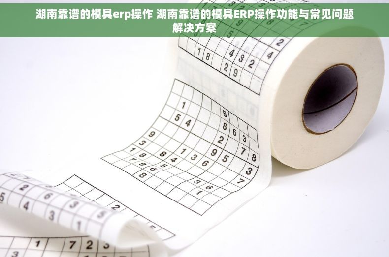 湖南靠谱的模具erp操作 湖南靠谱的模具ERP操作功能与常见问题解决方案