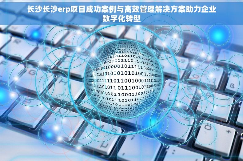长沙长沙erp项目成功案例与高效管理解决方案助力企业数字化转型