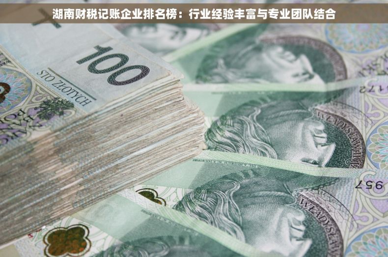 湖南财税记账企业排名榜：行业经验丰富与专业团队结合