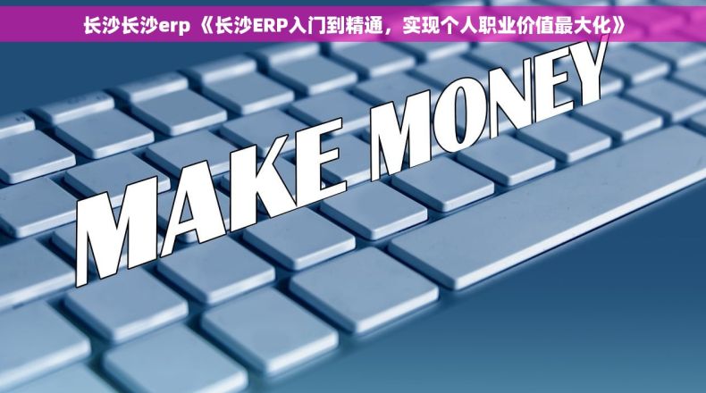 长沙长沙erp 《长沙ERP入门到精通，实现个人职业价值最大化》