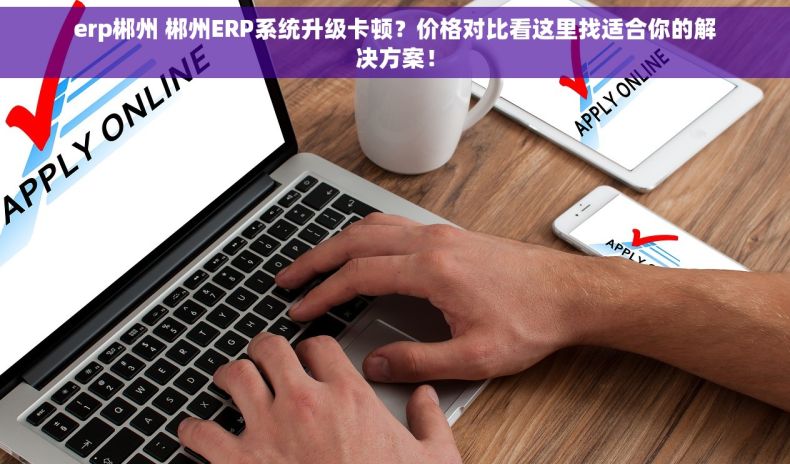 erp郴州 郴州ERP系统升级卡顿？价格对比看这里找适合你的解决方案！