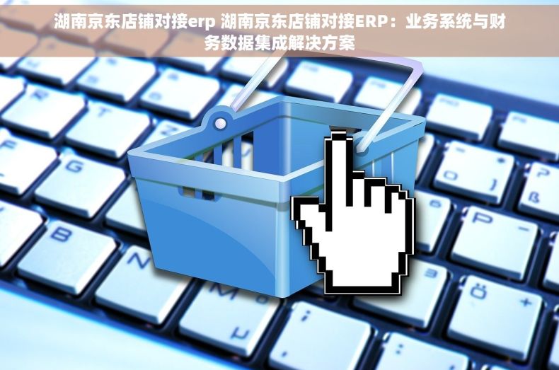 湖南京东店铺对接erp 湖南京东店铺对接ERP：业务系统与财务数据集成解决方案