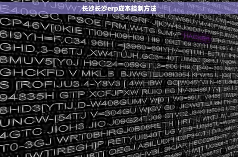 长沙长沙erp成本控制方法