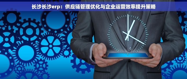 长沙长沙erp：供应链管理优化与企业运营效率提升策略