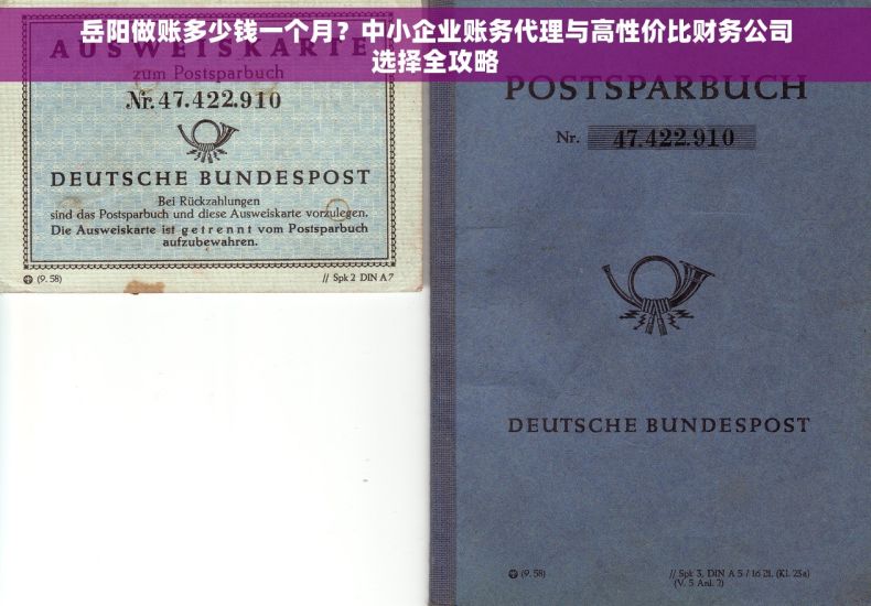 岳阳做账多少钱一个月？中小企业账务代理与高性价比财务公司选择全攻略