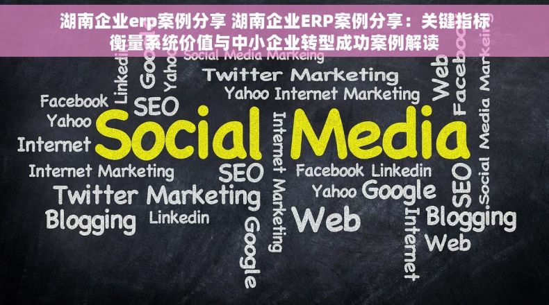 湖南企业erp案例分享 湖南企业ERP案例分享：关键指标衡量系统价值与中小企业转型成功案例解读