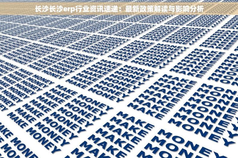 长沙长沙erp行业资讯速递：最新政策解读与影响分析