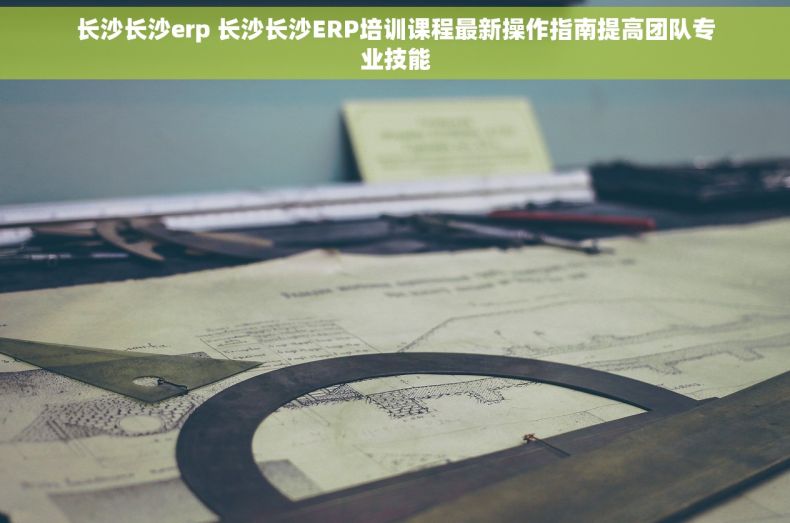 长沙长沙erp 长沙长沙ERP培训课程最新操作指南提高团队专业技能