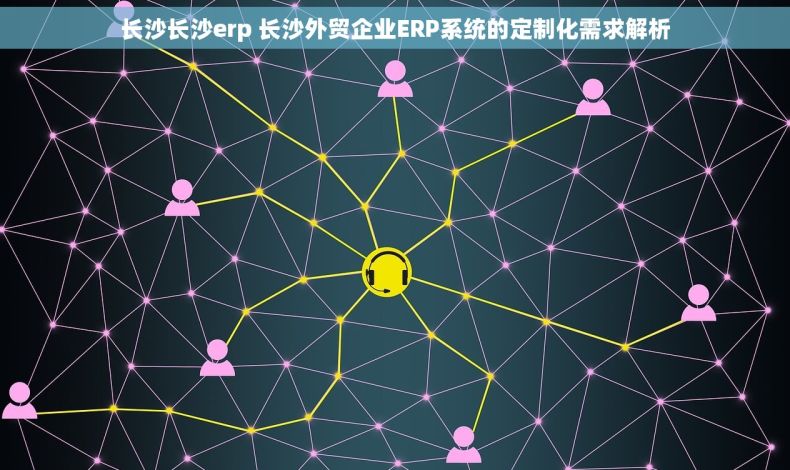 长沙长沙erp 长沙外贸企业ERP系统的定制化需求解析