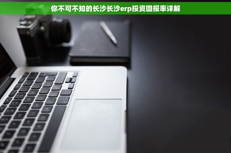 你不可不知的长沙长沙erp投资回报率详解