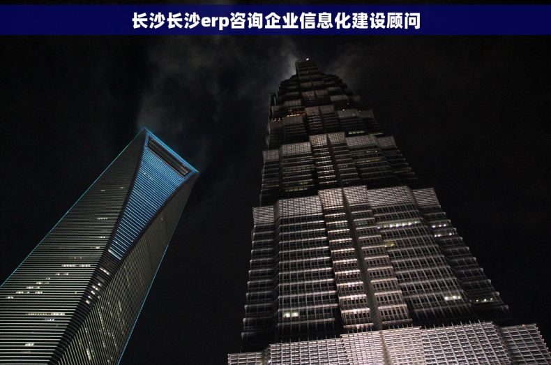 长沙长沙erp咨询企业信息化建设顾问
