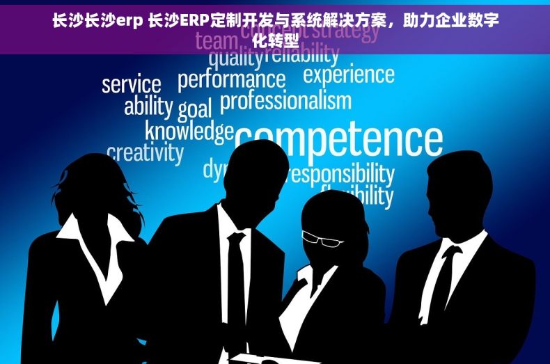 长沙长沙erp 长沙ERP定制开发与系统解决方案，助力企业数字化转型