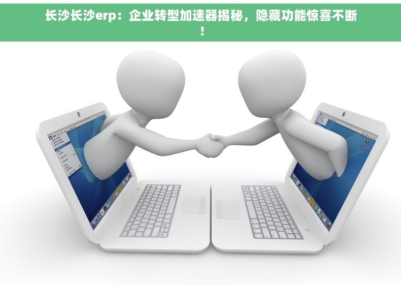 长沙长沙erp：企业转型加速器揭秘，隐藏功能惊喜不断！