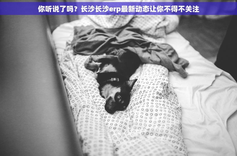 你听说了吗？长沙长沙erp最新动态让你不得不关注