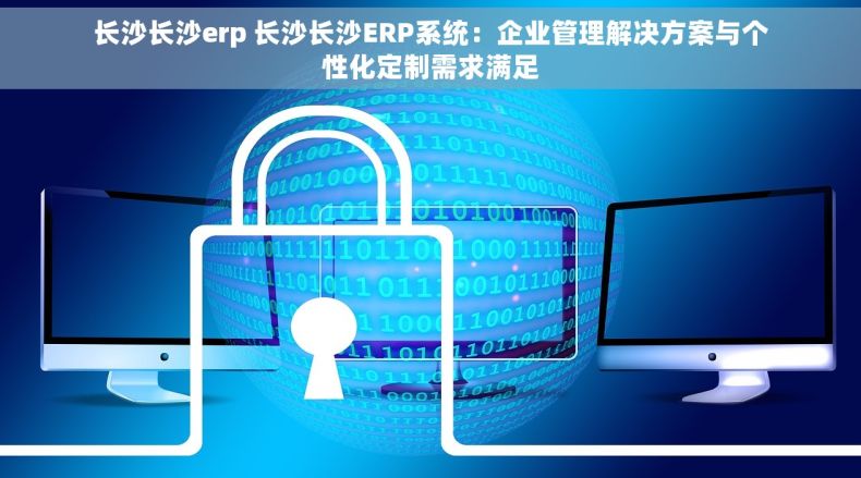 长沙长沙erp 长沙长沙ERP系统：企业管理解决方案与个性化定制需求满足