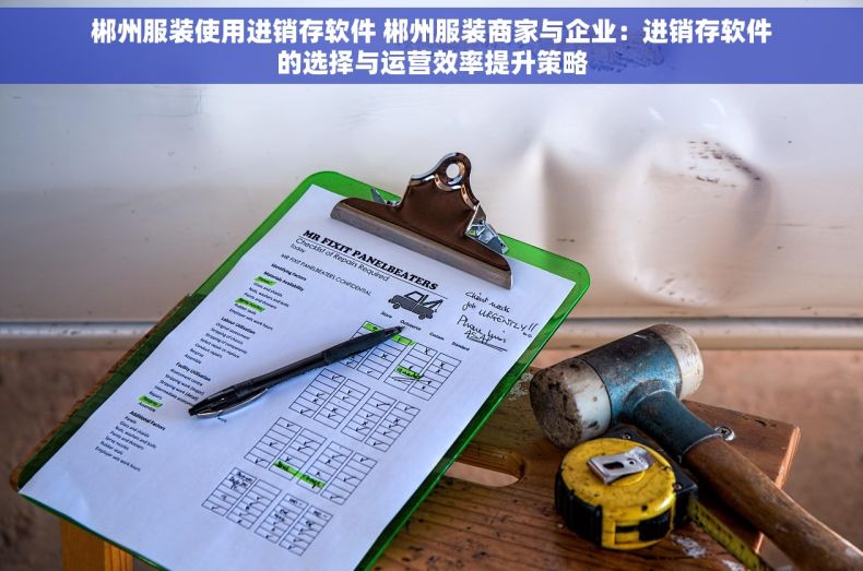 郴州服装使用进销存软件 郴州服装商家与企业：进销存软件的选择与运营效率提升策略