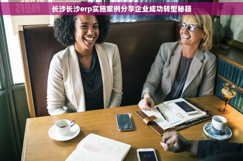 长沙长沙erp实施案例分享企业成功转型秘籍