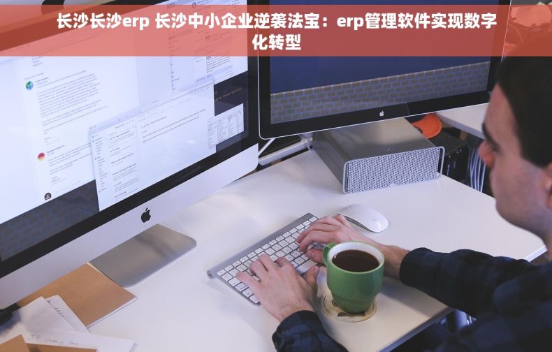 长沙长沙erp 长沙中小企业逆袭法宝：erp管理软件实现数字化转型